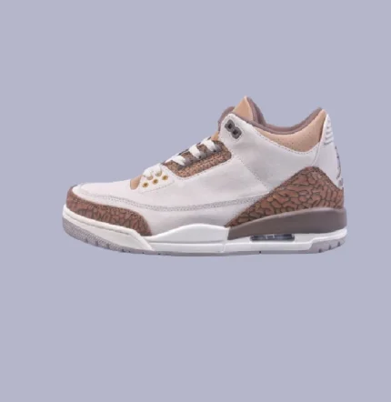 Jordan 3 Retro Palomino CT8532 102 (5)